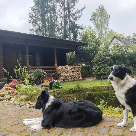 Chalet Heide Blockhaus Handeloh